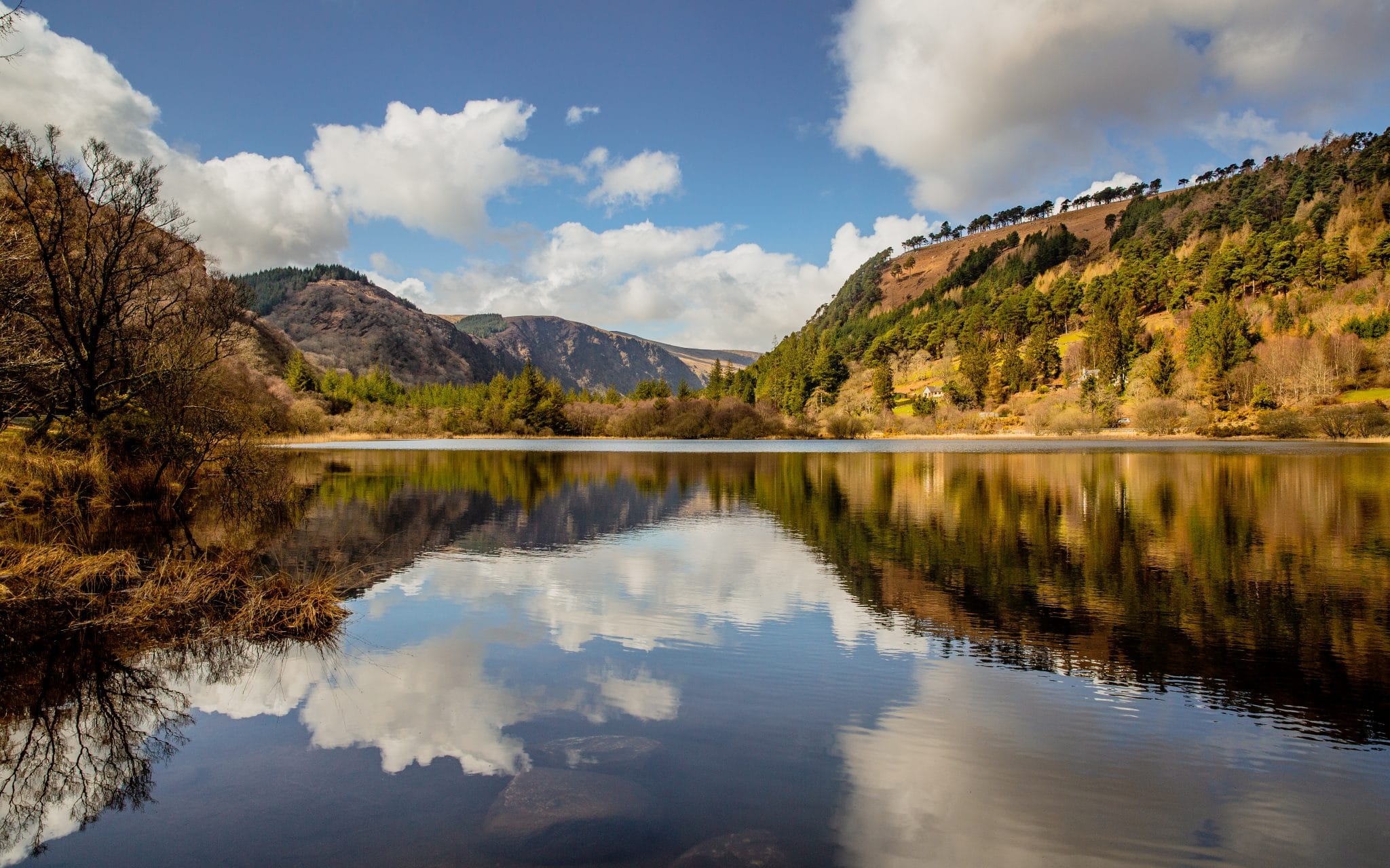 Lakes of Killarney