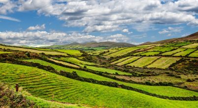 Rolling green hills and fields await on a Slea Head drive tour from Dingle under a cloudy sky.